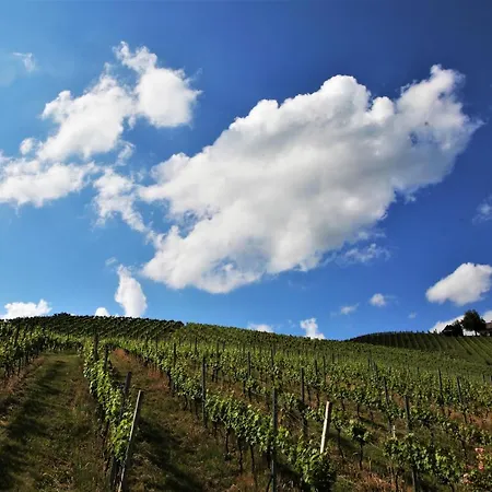 Weingut - Sonja Rohrbacher *