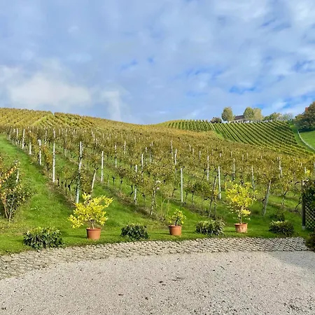 Weingut - Sonja Rohrbacher Lejlighed Gamlitz