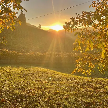 Weingut - Sonja Rohrbacher Apartament Gamlitz