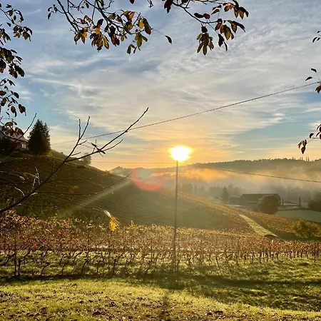 Weingut - Sonja Rohrbacher *