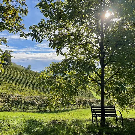 Weingut - Sonja Rohrbacher Gamlitz