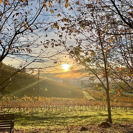 Weingut - Sonja Rohrbacher Lejlighed Gamlitz