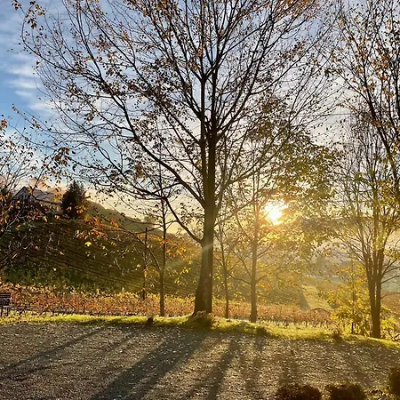 Weingut - Sonja Rohrbacher Lejlighed *