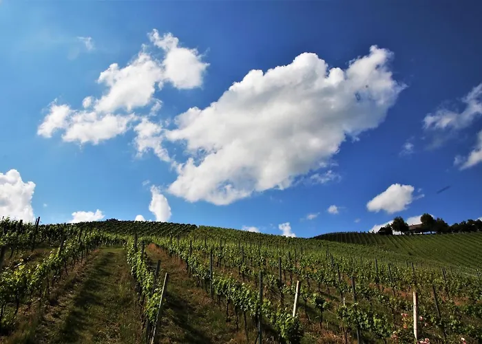 Weingut - Sonja Rohrbacher *