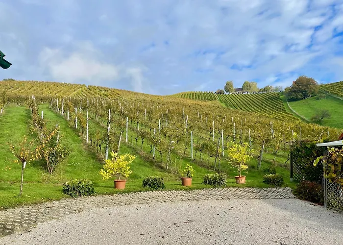 Weingut - Sonja Rohrbacher Апартаменты Гамлиц