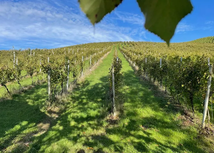 Weingut - Sonja Rohrbacher *