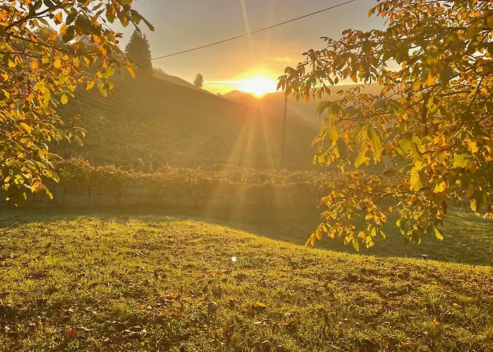 Weingut - Sonja Rohrbacher Апартаменты Гамлиц