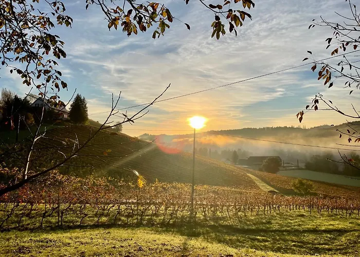 Weingut - Sonja Rohrbacher *