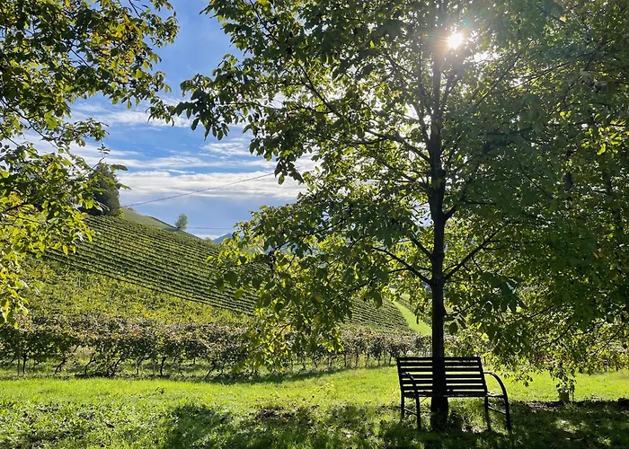 Weingut - Sonja Rohrbacher Гамлиц