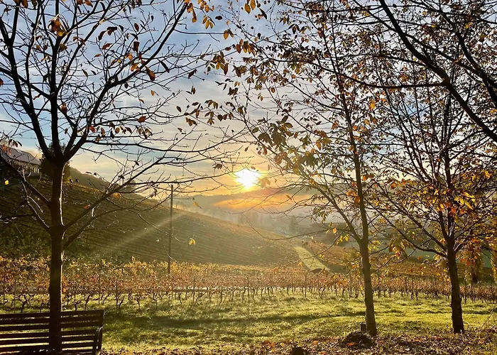 Weingut - Sonja Rohrbacher Апартаменты Гамлиц