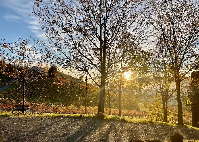 Weingut - Sonja Rohrbacher Apartment *
